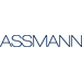 ASSMANN ELECTRONIC