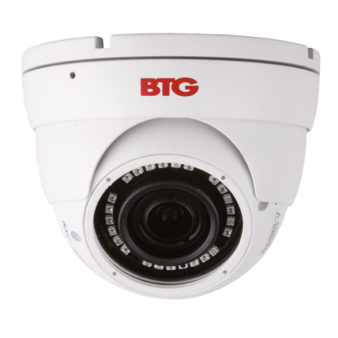 Bolide BTG-N1509IRODVA/W cámara de seguridad IP