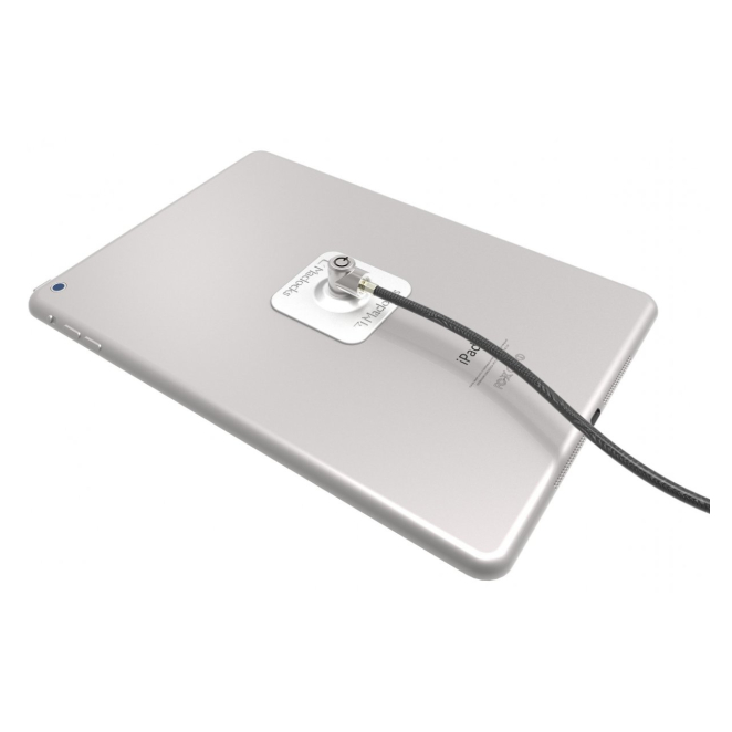 Compulocks Universal Tablet Lock cable antirrobo Acero inoxidable