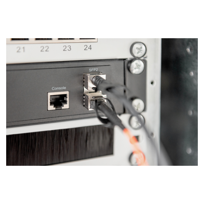 Digitus Cable SFP+ 10G DAC 3m conexión de alta velocidad