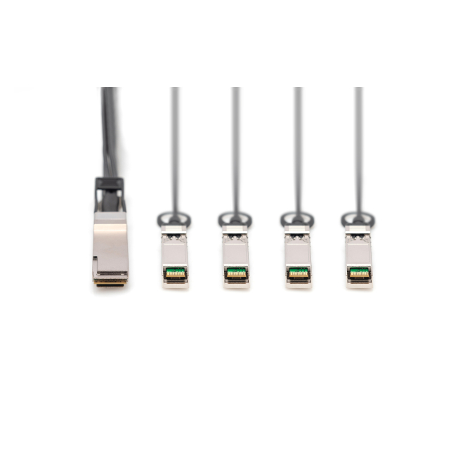 Conectores del cable Digitus QSFP+ a 4XSFP+