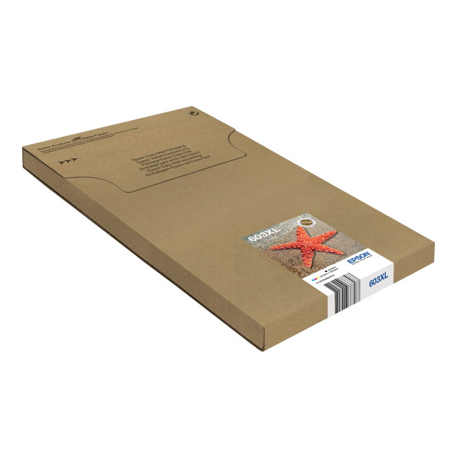Epson Multipack 4-colours 603XL EasyMail