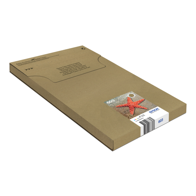 Epson Multipack 4-colours 603 EasyMail