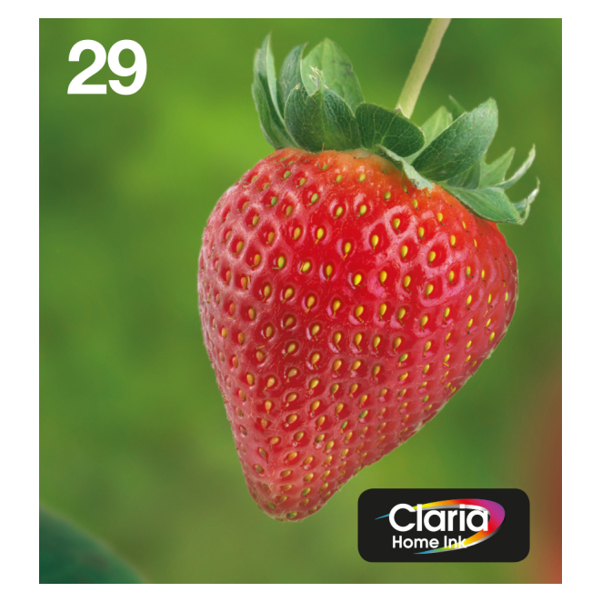 Epson Strawberry Multipack 4-colours 29 EasyMail