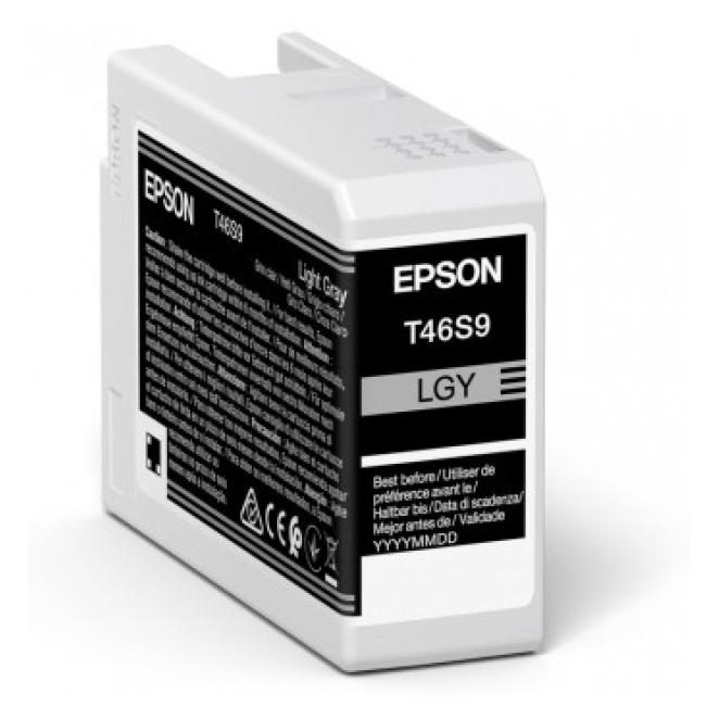 Epson UltraChrome Pro cartucho de tinta 1 pieza(s) Original Gris claro