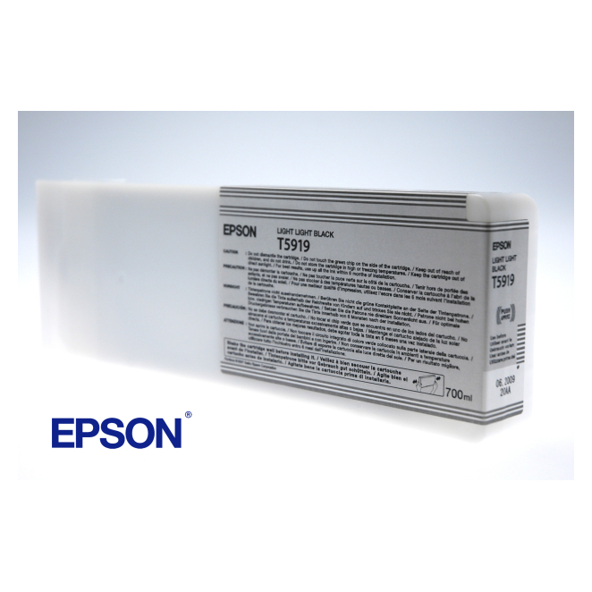 Epson Cartucho T591900 gris claro