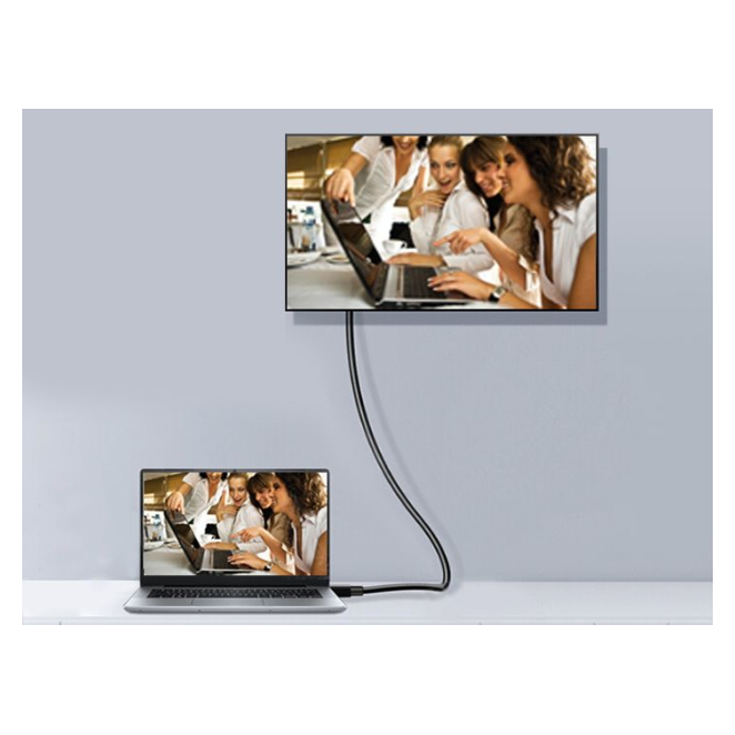 Contexto de usuario del Equip 119333 Cable DisplayPort