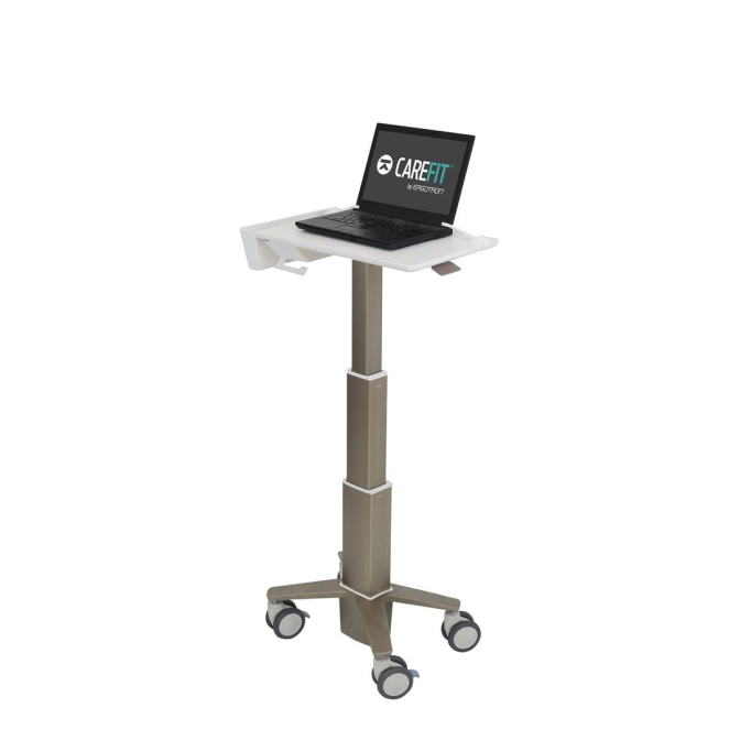 Ergotron C50-1100-0 soporte para ordenador portátil Gris 39,6 cm (15.6″)