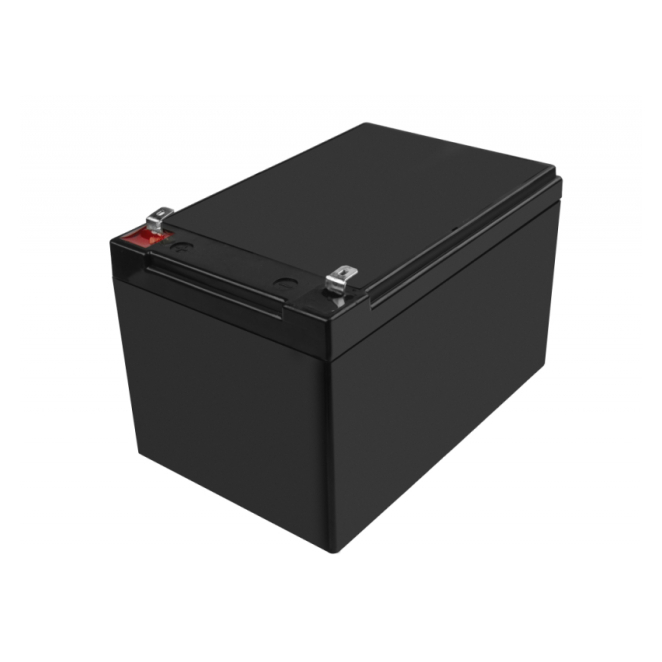 Green Cell AGM48 batería para sistema UPS Sealed Lead Acid (VRLA) 12 V 10 Ah