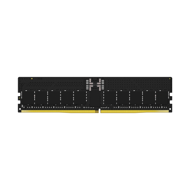 Kingston FURY Renegade Pro en PC