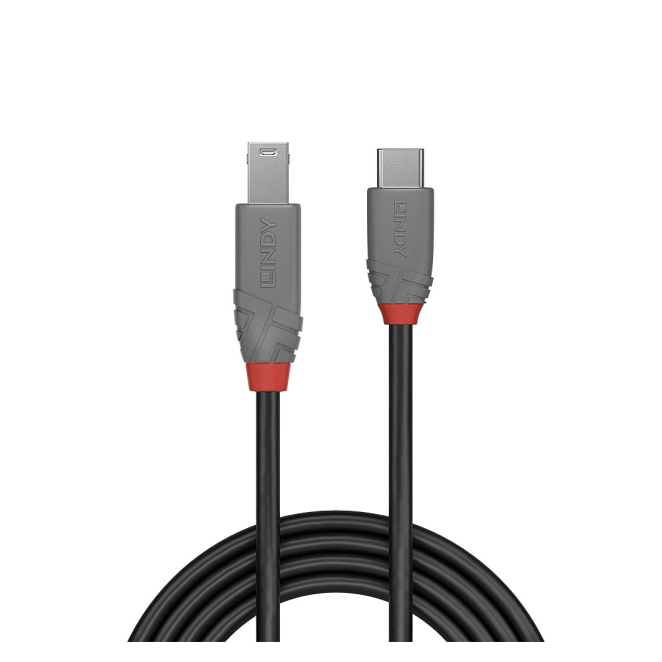 Lindy 36667 cable USB de alta velocidad