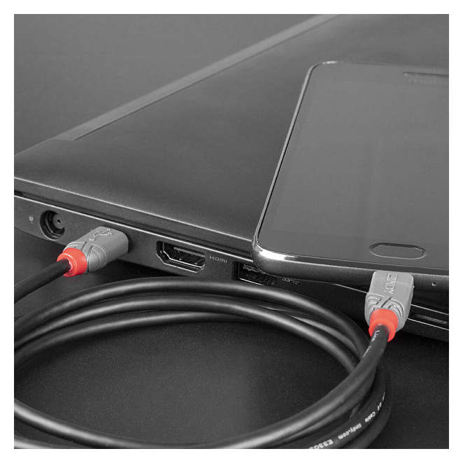 Lindy 36892 cable obras y beneficios