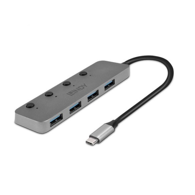 Lindy 43383 hub de interfaz USB 3.2 Gen 1 (3.1 Gen 1) Type-C 5000 Mbit/s Gris
