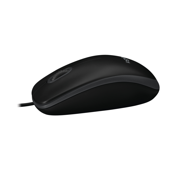Logitech B100 ratón USB tipo A