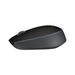 Logitech M170