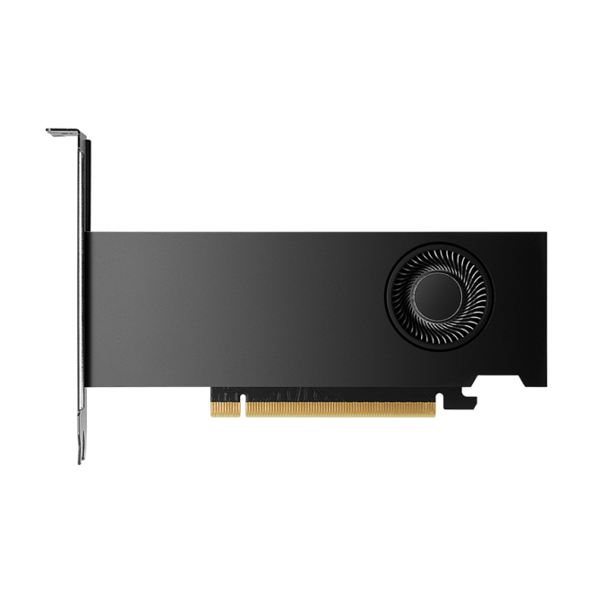 PNY NVIDIA RTX 2000 Ada Generation 16 GB GDDR6 imagen principal