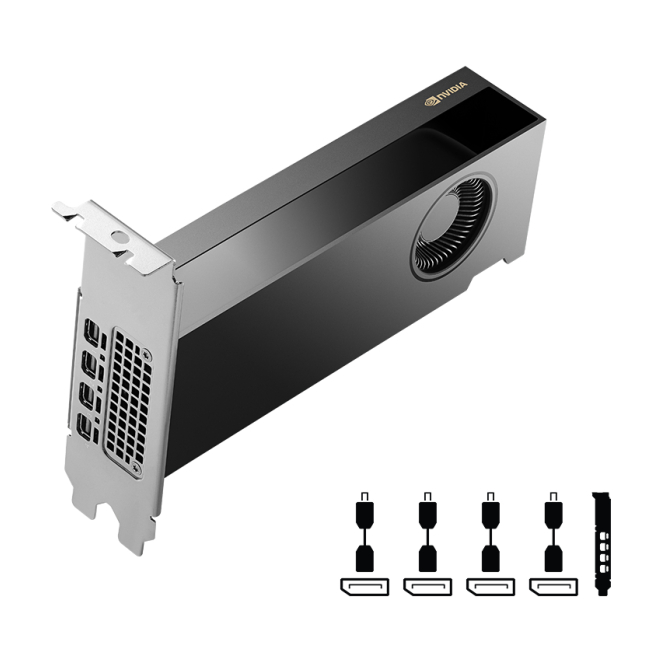 PNY NVIDIA RTX 2000 Ada Generation 16 GB GDDR6 conectividad avanzada