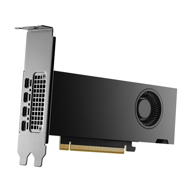 PNY NVIDIA RTX 2000 Ada Generation 16 GB GDDR6 ideal para CAD y renderizado