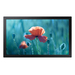 Samsung QB13C 33 cm (13″) LCD Wifi 500 cd / m² Full HD Negro 16/7
