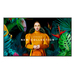 Samsung QM50C Pantalla plana para señalización digital 127 cm (50″) LCD Wifi 500 cd / m² 4K Ultra HD Negro Procesador incorporado Tizen 24/7