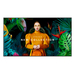 Samsung QH98C Pantalla plana para señalización digital 2,49 m (98″) LCD Wifi 700 cd / m² 4K Ultra HD Negro Tizen 7.0 24/7