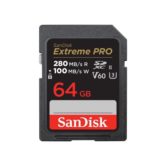 SanDisk SDSDXEP-064G-GN4IN memoria flash 64 GB SDXC UHS-II Clase 10