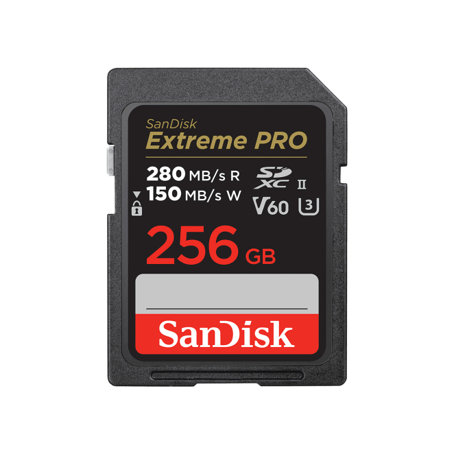 SanDisk SDSDXEP-256G-GN4IN memoria flash 256 GB SDXC UHS-II Clase 10