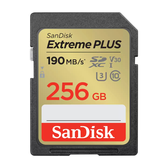 SanDisk SDSDXW2-256G-GNCIN 64GB