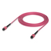 Ubiquiti UACC-OFC-MA-MPMP-5M Cable de fibra óptica e InfiniBand MPO MPO/UPC Rosa