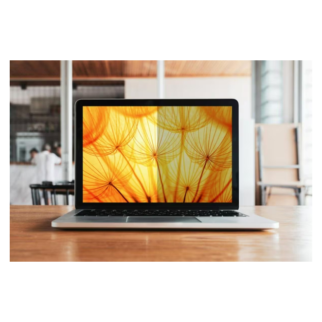 3M BPNDE003 filtro para monitor 39,6 cm (15.6″) Portátil Filtro de privacidad para pantallas sin marco 1 3M BPNDE003 filtro para monitor 15.6 pulgadas