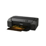 Canon PIXMA PRO-200s, impresora de foto de inyección de tinta con resolución de 4800 x 2400 DPI y conectividad Wifi, SKU 6875C009