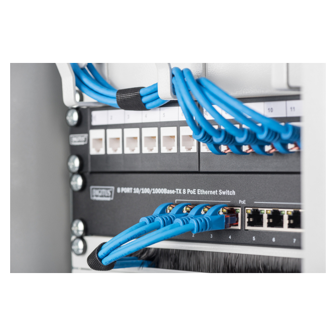 Digitus Carcasa mural 254 mm (10″) - 312x300 mm (AnxP) 2 Fácil uso de Cableado en la carcasa mural Digitus