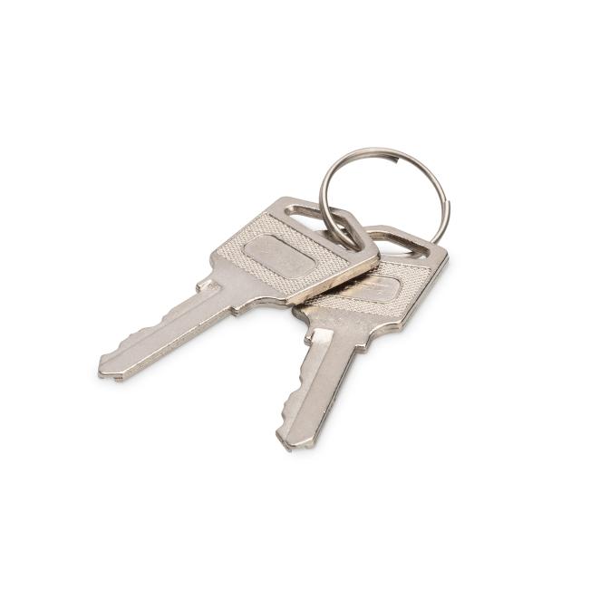 Digitus Llaves para taquillas de carga, diseño seguro Llaves de seguridad para taquillas de carga Digitus, modelo DN-45000-KEY, diseño confiable.