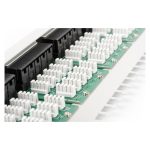 Digitus Panel de Conexión ISDN CAT 3 sin Apantallar, SKU DN-91350-1