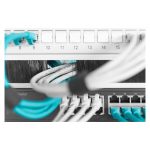 Imagen de la regleta de cepillos para cables Digitus de 483 mm (19 pulgadas), SKU DN-97660, ideal para armarios de red y gestión de cables.