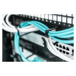 Digitus Panel de gestión de cables 1U con escobillas para armarios de 483 mm (19 pulgadas), SKU DN-97663