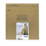 Paquete múltiple de cartuchos Epson Polar Bear de 4 colores 26XL EasyMail, SKU C13T26364511, alto rendimiento.