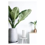 Router blanco Linksys Velop Pro 7 Tribanda con Wi-Fi 6, 2.4 GHz, 5 GHz y 6 GHz, SKU MBE7003-KE