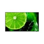 Imagen de la pantalla plana NEC MultiSync E438 de 108 cm (42.5 pulgadas) LCD, 350 cd/m², 4K Ultra HD en color negro, SKU 60005045