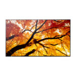 Panel plano interactivo Sharp MultiSync PN-M982 de 97.5 pulgadas LED 550 cd/m² 4K Ultra HD en negro con SKU 60006059