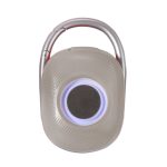 Techly ICASBL321GR altavoz monofónico portátil en color gris, ideal para fiestas, con una potencia de 5 W