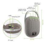 Techly ICASBL321GR altavoz monofónico portátil en color gris, ideal para fiestas, con una potencia de 5 W