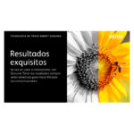 Xerox B620 B625 cartucho de tóner negro de extra alta capacidad con capacidad de impresión de 42 000 páginas, SKU 006R04670