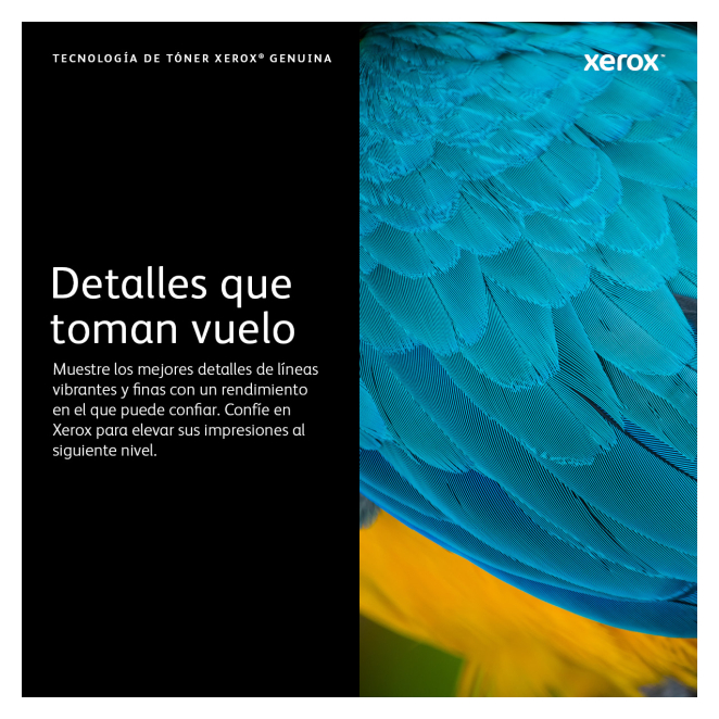Xerox Cartucho de tóner negro de gran capacidad para Phaser 6600/WorkCentre 6605 (8000 páginas) 3 Cartucho de tóner Xerox