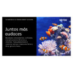 Cartucho de tóner negro Xerox para impresoras VersaLink C400 y C405 con capacidad normal de 2500 páginas, SKU 106R03500