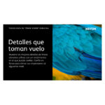 Cartucho de tóner negro Xerox para impresoras VersaLink C400 y C405 con capacidad normal de 2500 páginas, SKU 106R03500