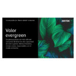 Cartucho de tóner negro Xerox para impresoras VersaLink C400 y C405 con capacidad normal de 2500 páginas, SKU 106R03500