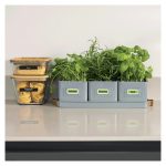 Brother PT-N20 impresora de etiquetas de transferencia térmica a color con resolución de 180 x 180 DPI y velocidad de 12 mm/s, SKU PTN20QL1