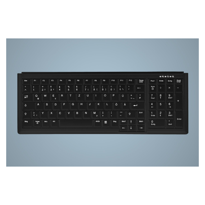 Active Key teclado Industrial PS/2 QWERTY Inglés de EE. UU. Negro Teclado Industrial Active Key PS/2 QWERTY Inglés de EE. UU. en color negro, modelo AK-7000-P-B/US. Perfecto para entornos industriales.