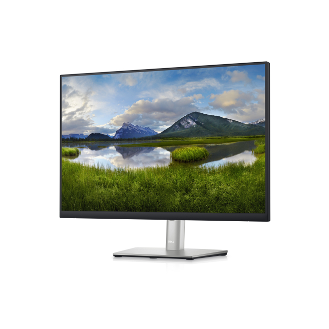 DELL P Series Monitor 24 – P2423 1 Monitor DELL P Series 24 – P2423, vista frontal